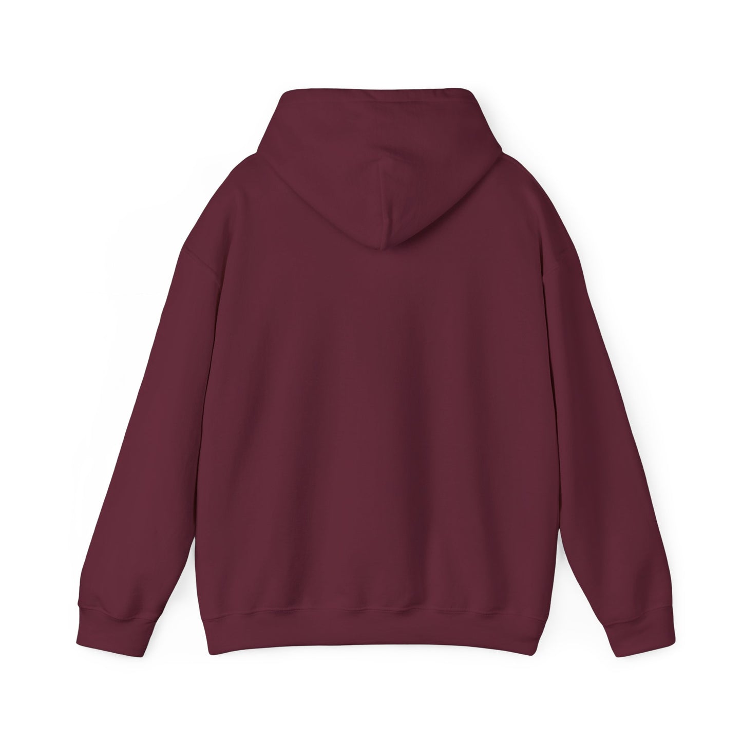 I support your Recovery Hoodie