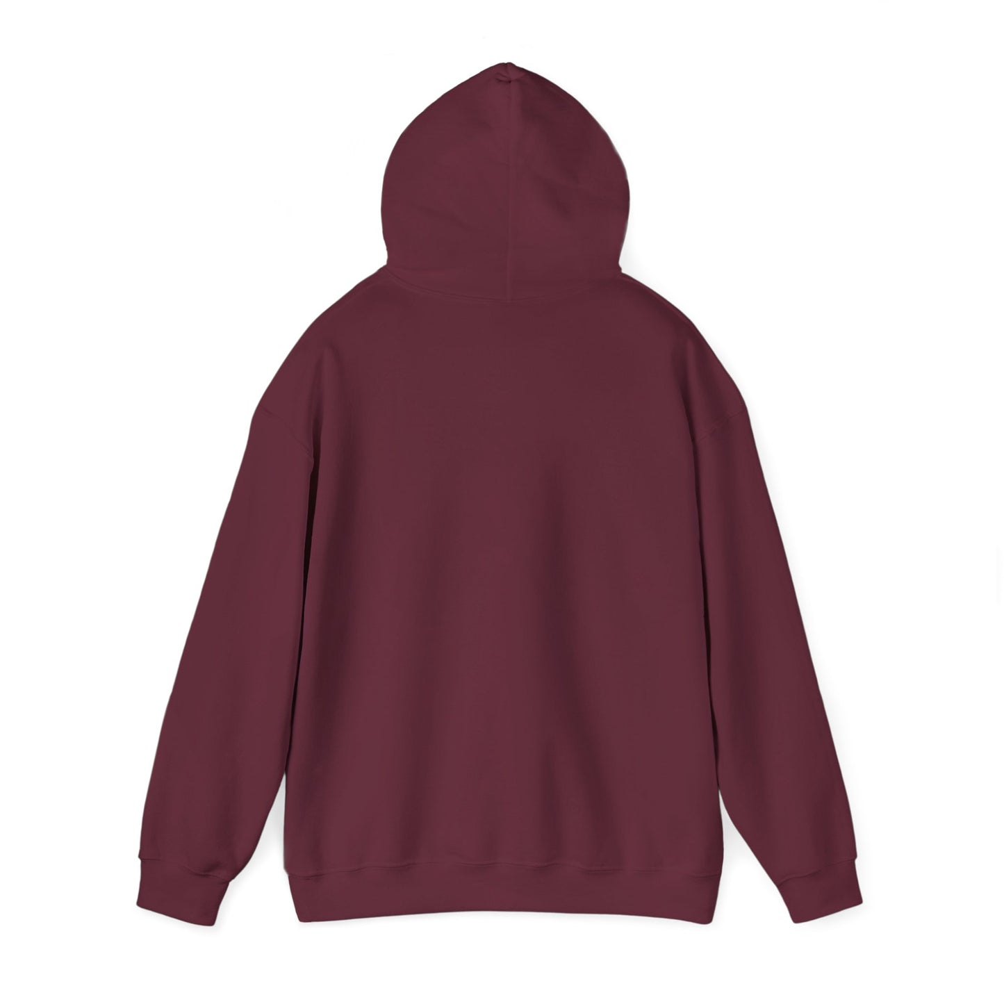 I support your Recovery Hoodie