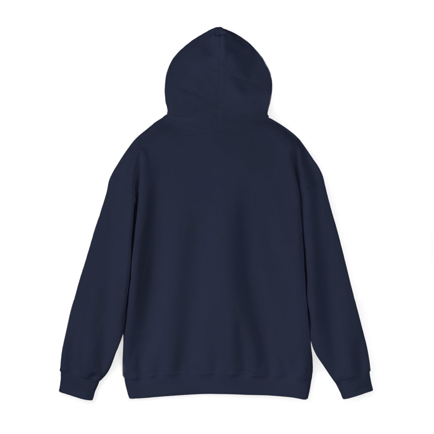 I support your Recovery Hoodie