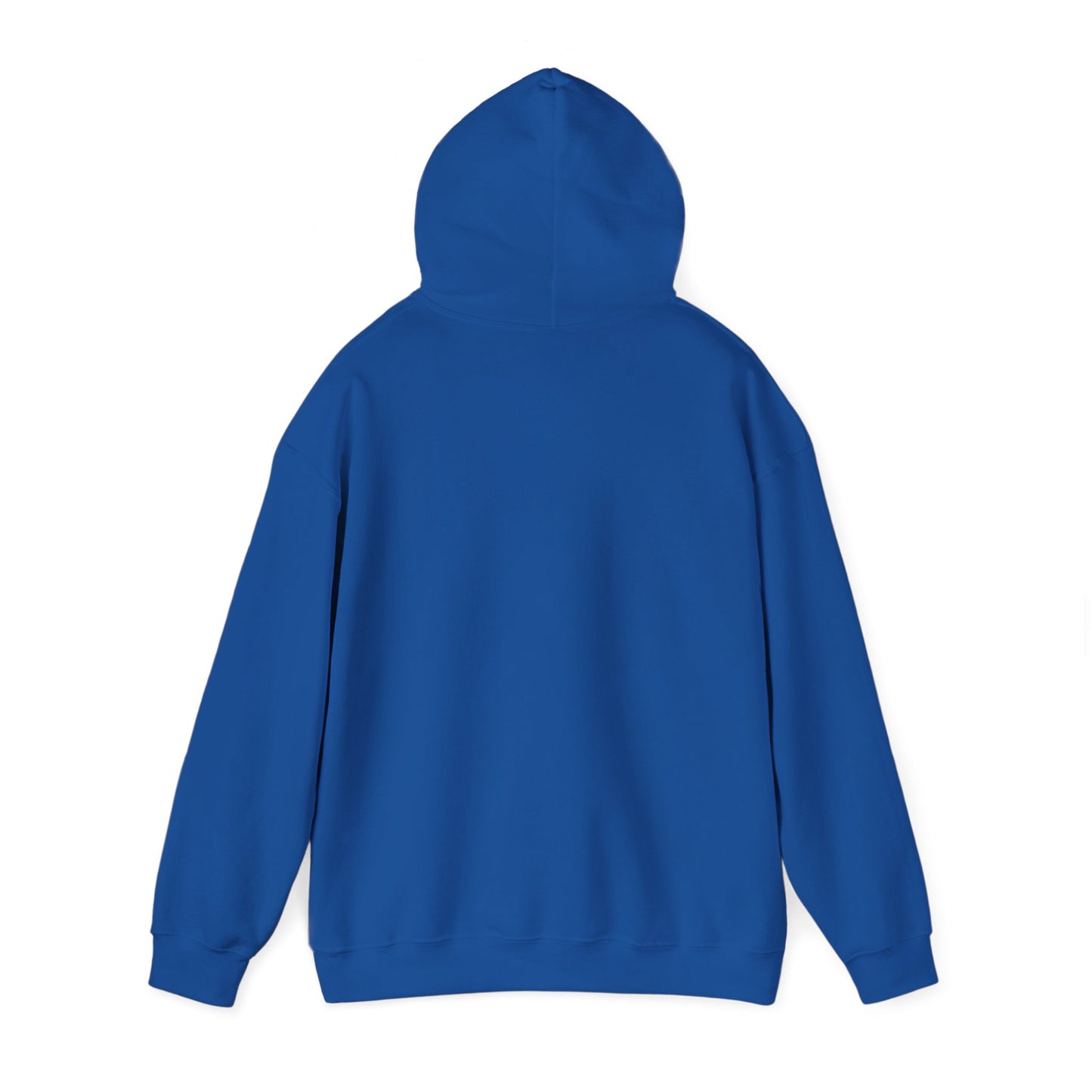 I support your Recovery Hoodie