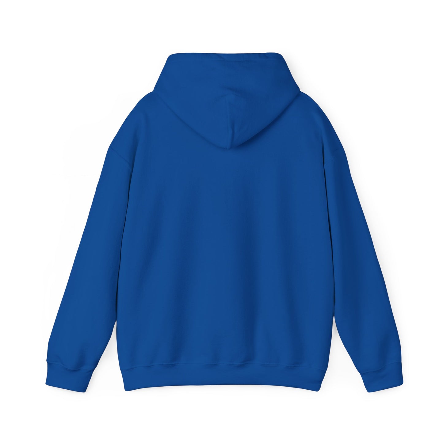 I support your Recovery Hoodie