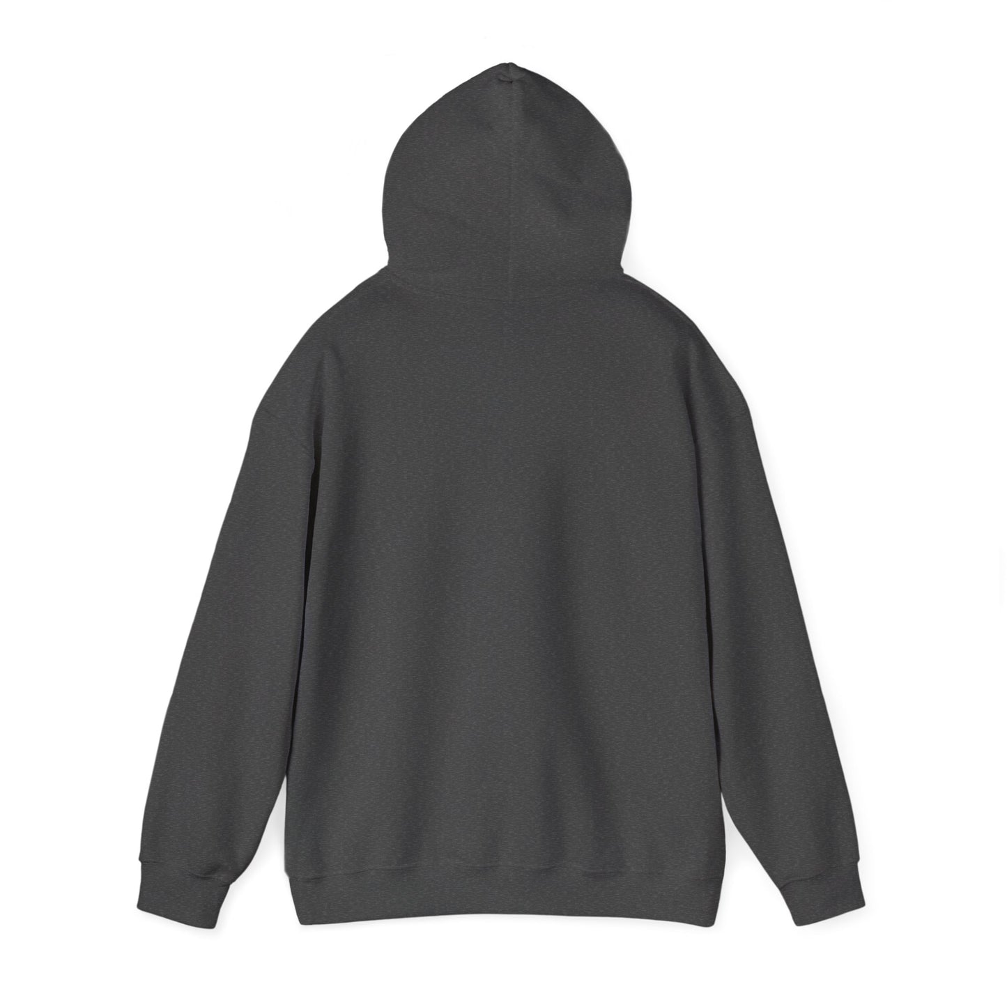 I support your Recovery Hoodie