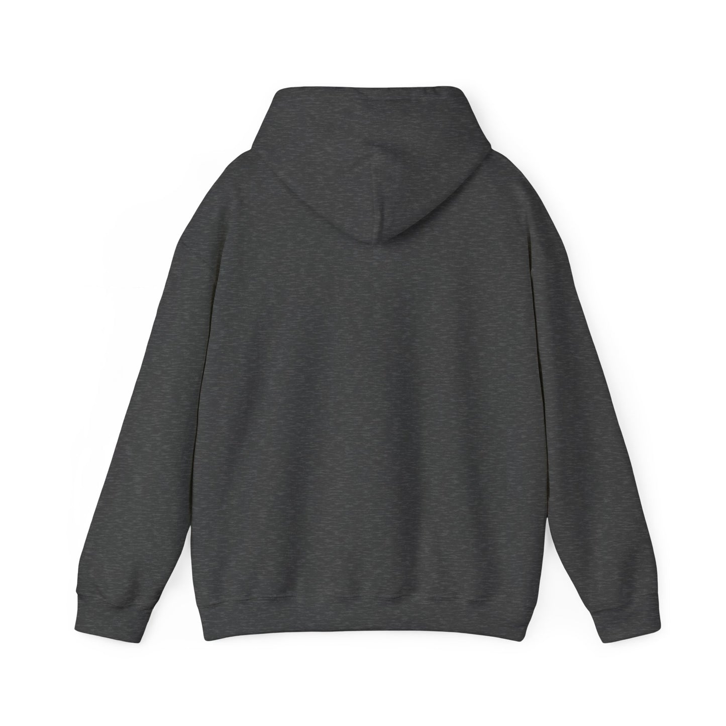 I support your Recovery Hoodie